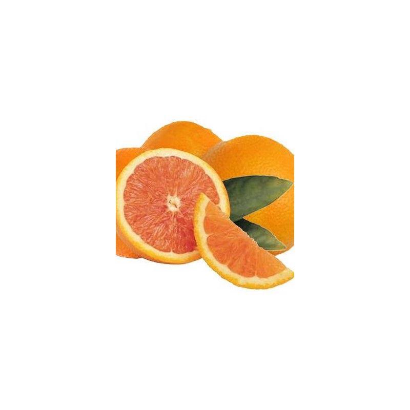 Arancio Cara Cara Navel (Citrus sinensis)