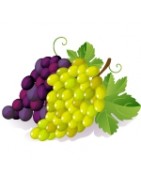 Piante d'uva da Vino Vendita Online - Vivai Piante Gabbianelli